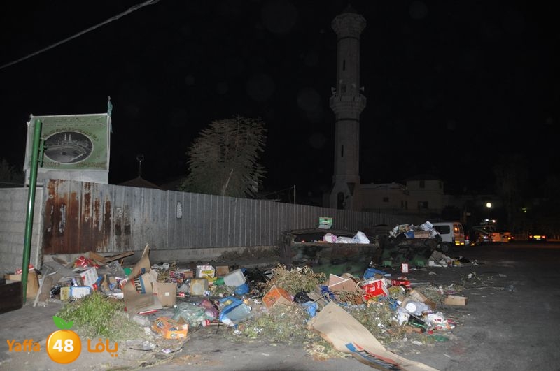 trash lud 907 (42).JPG